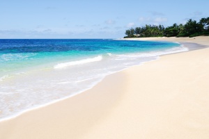 Tropical beach scene on a sunny day in Oahu, Hawaii